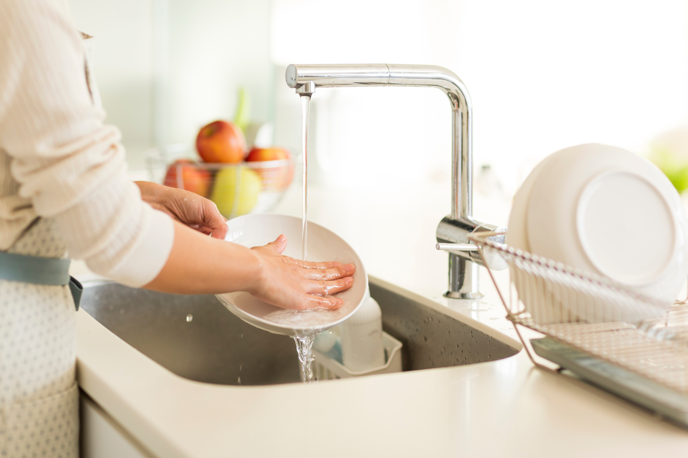 Homemaker Washing Dishes